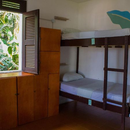 Indiana Kite School And Hostel クムブコ エクステリア 写真
